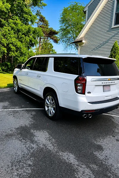 Auto detailing